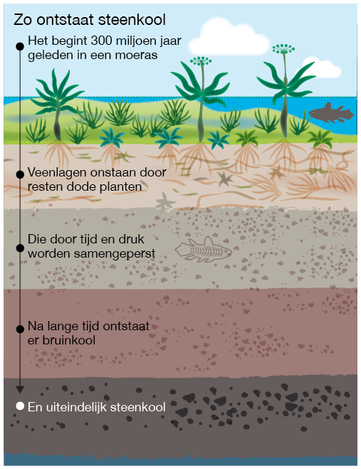 Stored biomass forming an artificial peat layer